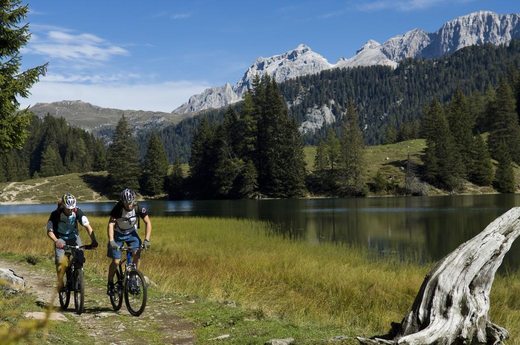 affitto biciclette a pinzolo